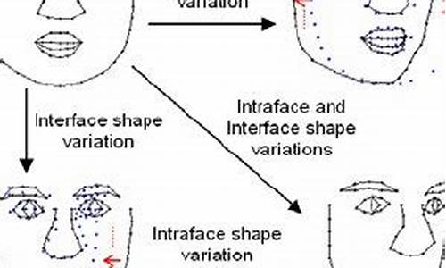 intraface 源码